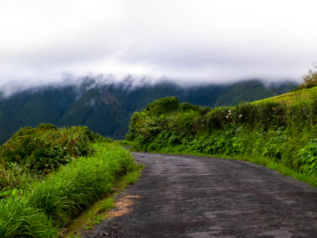 Mountain landscape on a foggy day. Sao Miguel, Azorean islands. Travel and exploration concept.の写真素材