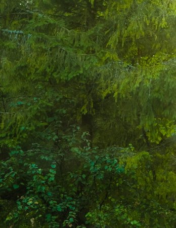Forest tree branches as nature background. Copy space, abstract filter toned.
