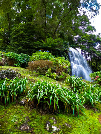 Big waterfall at Botanical Garden of Ribeira do Guilherme, Sの写真素材