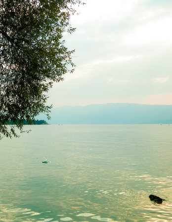 Ohrid lake water as nature background. Nature and travel concept.の写真素材