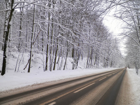 Road across forest in Wiezyca. Winter season in northern Poland. Transport and nature concept.の写真素材