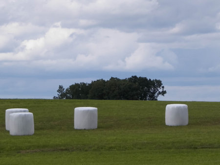 Harvest bales on a green field. End of the summer in northern Poland. Harvesting.の写真素材