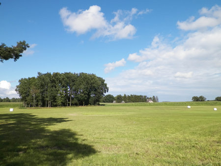 Harvest bales on a green field. End of the summer in northern Poland. Harvesting.の写真素材