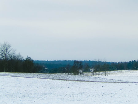 Winter over Kashubian meadows, Polish nature. Winter season concept, copy space on cloudy sky.の写真素材