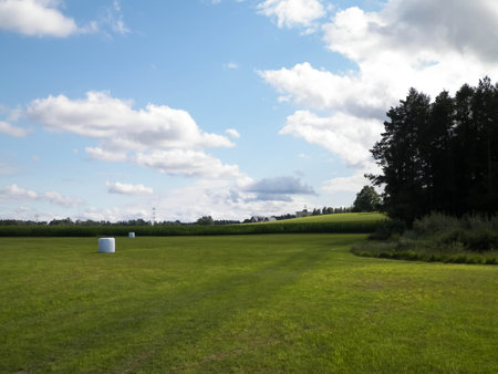 Harvest bales on a green field. End of the summer in northern Poland. Harvesting.の写真素材