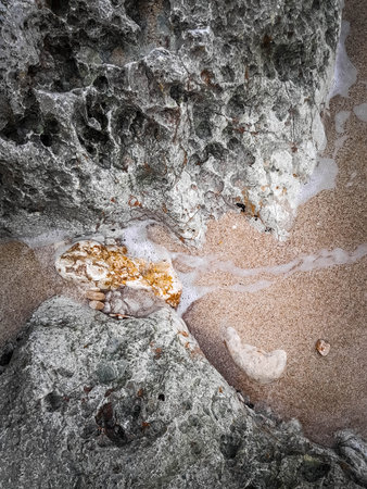 Coastal rocks and sea water as a natural background. Copy space.の写真素材