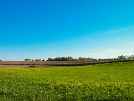Blue sky over fields and meadows. Springtime in Kashubia. Poland. Copy space on blue sky.