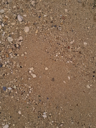 Ground natural background. Copy space.の写真素材