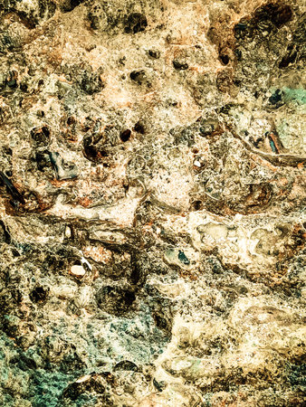 abstract grunge background texture for multiple projects like science, music, art