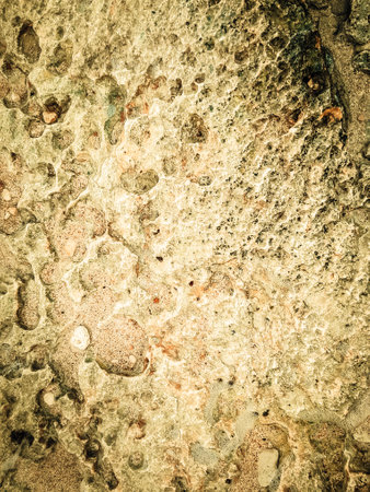 Coastal rocks as a natural background.