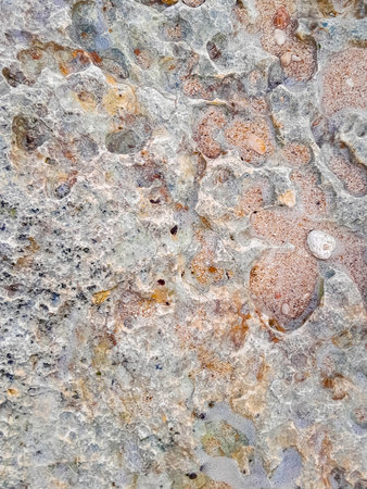 Coastal rocks and sea water as a natural background. Copy space.の写真素材