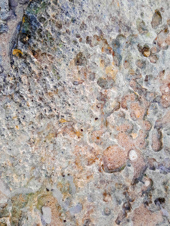 Coastal rocks and sea water as a natural background. Copy space.の写真素材