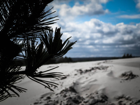 Sand dunes in Stilo, Leba. Coastal area of Northern Poland.