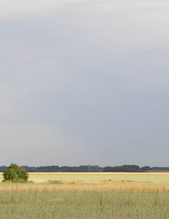 A field in Kashubia. Agriculture concept. Northern Poland.