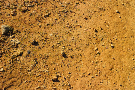 Desert sand as natural background. Copy space.