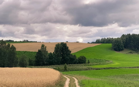 Storm is coming. Cloudy sky over Kashubian meadows. Pure nature, beautiful landscape of northern...