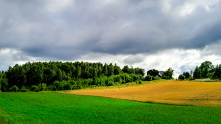 Storm is coming. Cloudy sky over Kashubian meadows. Pure nature, beautiful landscape of northern...