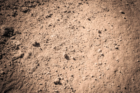 Desert sand as natural background. Copy space.