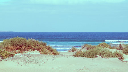 Beach and Atlantic Ocean in Caleta de Famara, Lanzarote Canary Islands. Beach in Caleta de Famara is...