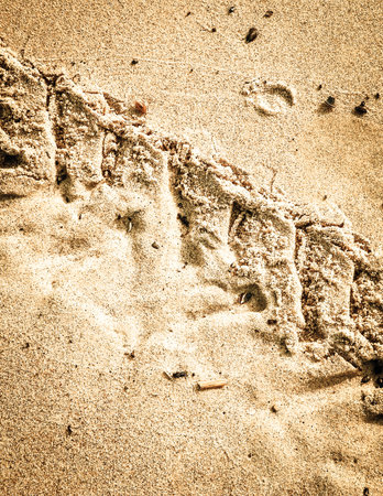 Traces of motorbike on beach. Nature background, copy space.