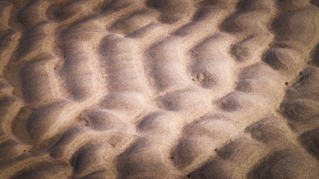 Sea shore as nature background. copy space.