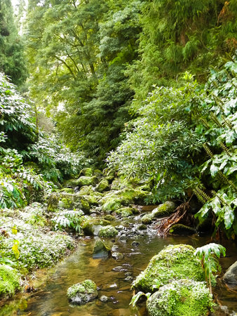 Small river at Botanical Garden of Ribeira do Guilherme, S