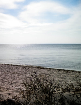 Baltic sea coast from Hel Peninsula - beach close to the Hel city. Beautiful nature of Baltic sea...