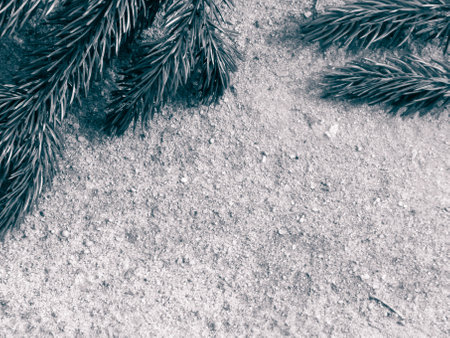Spruce branch on the sand. Nature background. Copy space