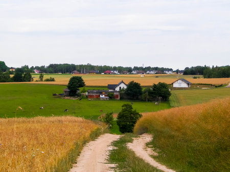 Road over fields in Kashubia. Poland. Touristic concept - travel and nature concept.の写真素材
