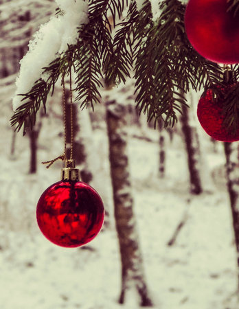 Christmass ball on tree twig. Christmas time. Copy space.の写真素材