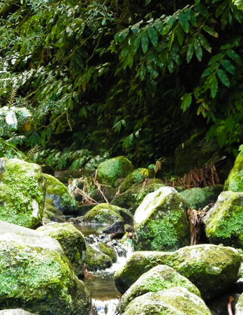 Small river at Botanical Garden of Ribeira do Guilherme, S