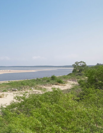 Baltic Sea Coast on Sobieszewska Island. The estuary of the Vistula River. Nature of northern Poland.の写真素材