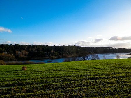 Wysockie lake at December. Kashubia is a region in northern Poland. It has mild climate so in December it also can be green.の写真素材