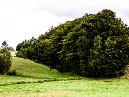 Green hills and forest - landscape of Kashubian Region, Poland. Travel and nature concept.の写真素材