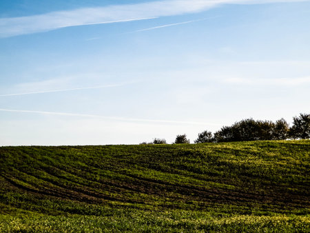 Green field on a background of blue sky. Sunny autumn day. Nature of Poland.の写真素材
