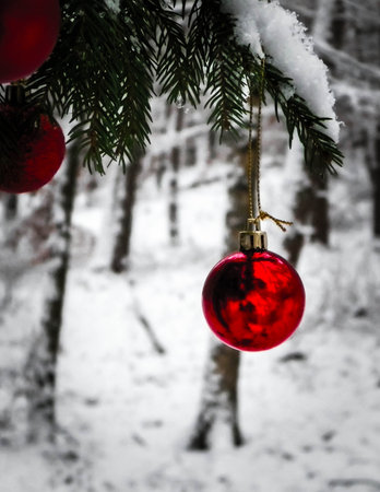 Christmass ball on tree twig. Christmas time. Copy space.の写真素材