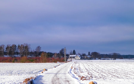 Polish countryside landscape in winter. Nature and agriculture concept.の写真素材