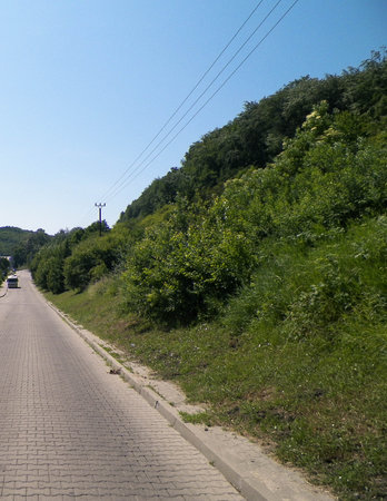 Forest and Country road in Poland, Nature and exploration concept.の写真素材