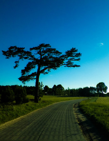 Offroad in Kashubian village. Kashubia is part of northern Poland, known of it's beautiful nature. Coniferous tree and village road, summer season, beautiful Polish environment.の写真素材