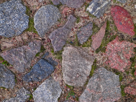 Stone paving as nature background. Copy space, nature concept.の写真素材