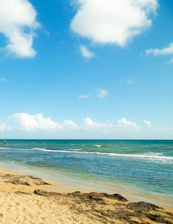 Beach and Mediterranean Sea coast in Paphos, island of Cyprus.の写真素材