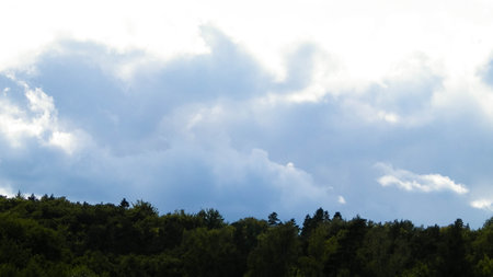 Cloudy sky over the forest. Summer stormy weather concept.の写真素材