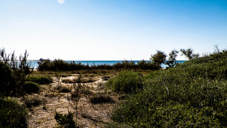 Mediterranean, nature, close to city of Vada. Tyrrhenian sea coast on blue sky background. Vacations and nature concept. Copy space on blue sky.の写真素材