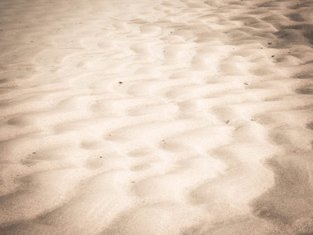 Sea shore as nature background.の写真素材