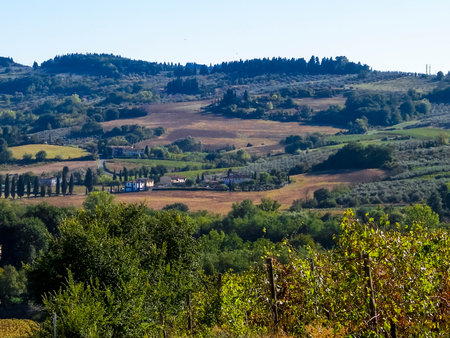 Hills, fields and meadows - typical views of Tuscany. Travel, nature and agriculture concept. Holidays in Italy. Copy space.の写真素材