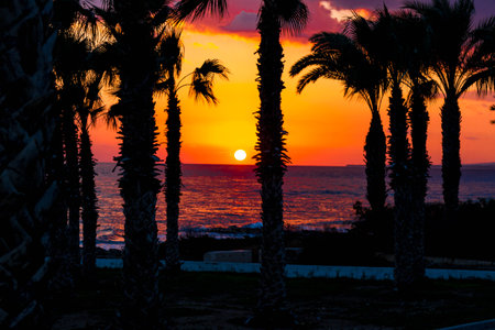 Orange sunset sky over Perivolia beach in Cyprus. Exotic scenery.の写真素材