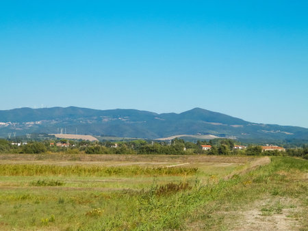 Tuscany, view of meadow and Apennines in the background. Summer in Tuscany, Italy.の写真素材