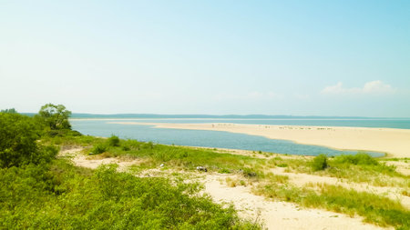 Baltic Sea Coast on Sobieszewska Island. The estuary of the Vistula River. Nature of northern Poland.の写真素材