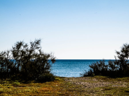 Mediterranean, nature, close to city of Vada. Tyrrhenian sea coast on blue sky background. Vacations and nature concept. Copy space on blue sky.の写真素材