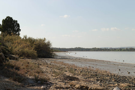 Larnaca is salt lake close to Larnaca City in Cyprus. It is a popular touristic spot.の写真素材